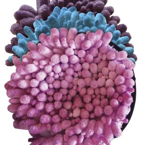 Sensory Playtivity Fuzzy Sensory Discs, Set of 3