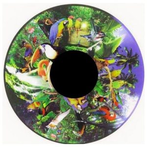 Projector Effects Wheel (Tropical Birds)