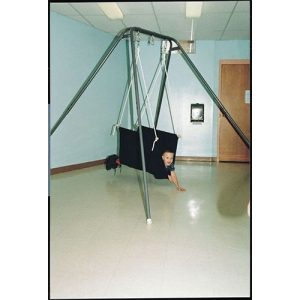 Soft Taco Seat Swing -The Homestand II Adult