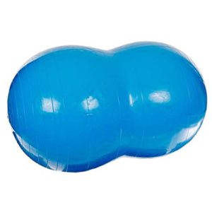 Sportime Physio-Roll Exercise Ball (27.6 inch - Blue)