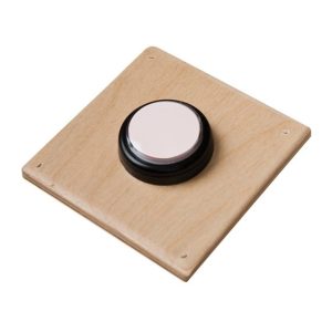 Remote Program Switch