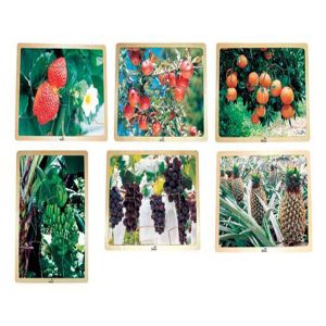 School Specialty 9-Piece, Fruit Puzzle Set