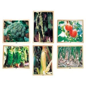 School Specialty Vegetable Puzzle Set