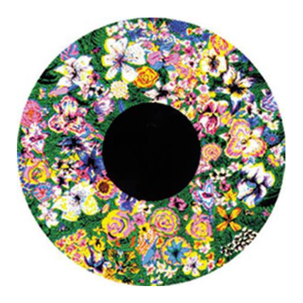 Projector Effects Wheel (Floral)
