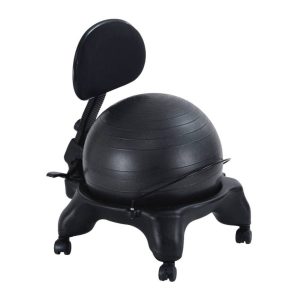Aeromat Adjustable Fit Ball Chair (21 x 22 x 32 to 34")