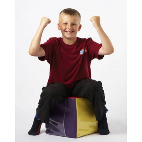 IRiS Qube and Recordable Speaker Bundle - Image 2