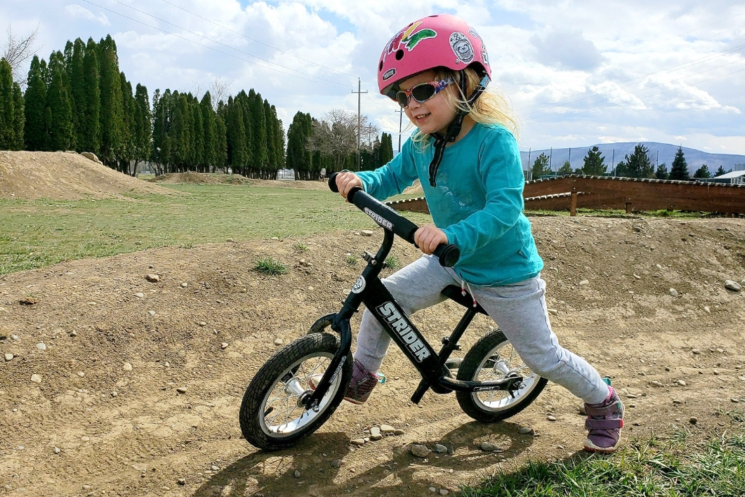 STRIDER XL HANDLEBAR W/ CLASSIC GRIPS - Image 2