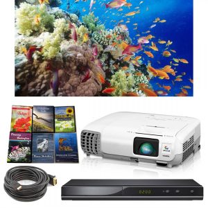 Living Scenery Projector Bundle - Dropped Ceiling